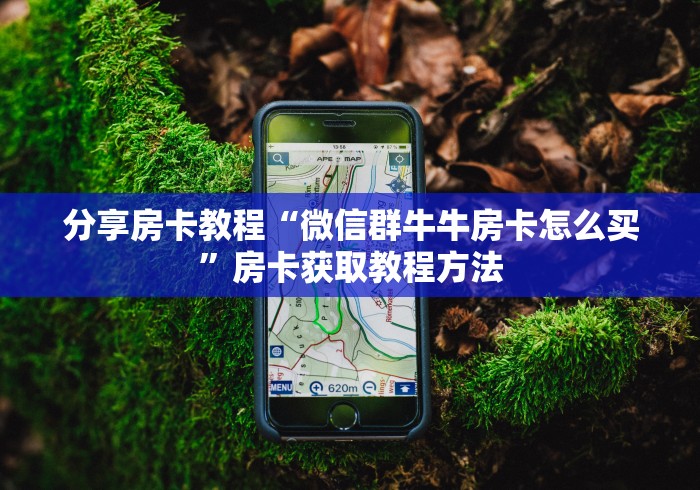 一分钟介绍使用“微信炸 金花房卡链接购买”房卡详细充值