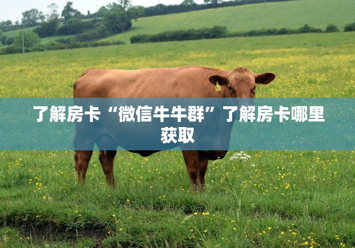玩家必备教程“微信炸 金花房卡怎么搞”房卡获取方式