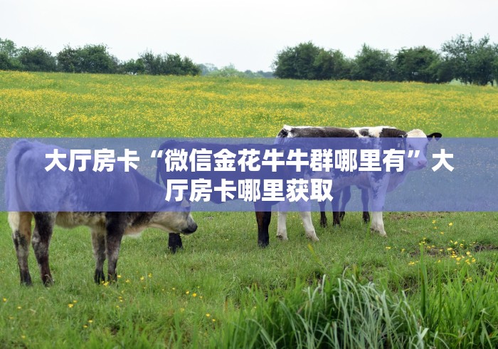 秒懂百科“微信牛牛链接版 有房卡”详细房卡教程