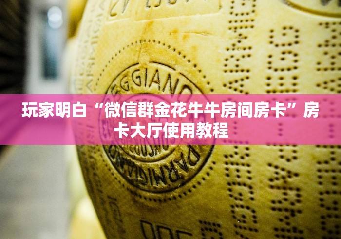 秒懂百科“随意玩房卡哪里买的”链接房卡在哪里获取
