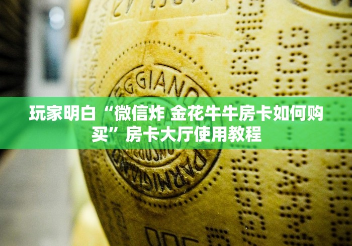 秒懂百科“在哪里买炸 金花房卡便宜”详细房卡怎么购买教程