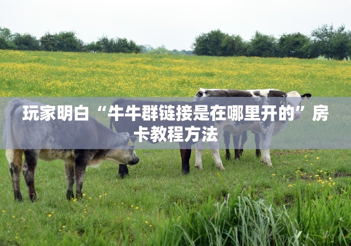 科普一下“微信炸 金花在哪里充值卡”房卡详细充值