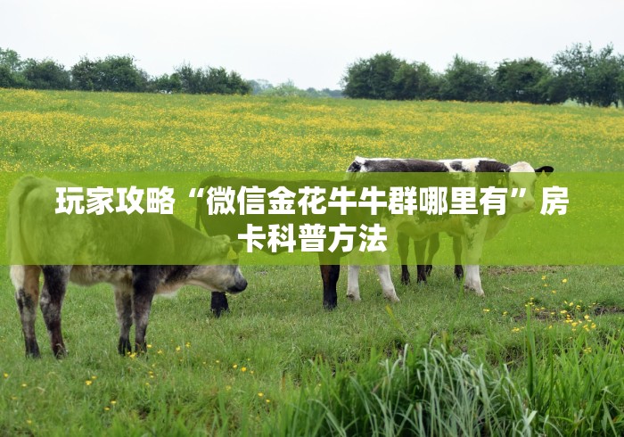 玩家必备教程“微信链接牛牛房卡怎么购买”房卡获取方式
