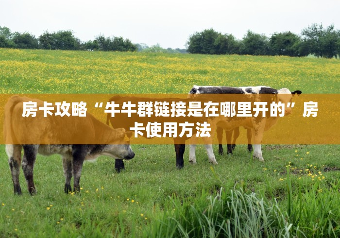 玩家必备教程“怎样购买微信牛牛房卡”房卡获取方式