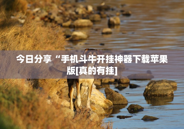 一分钟实测分享“微信炸 金花房卡充值购买”房卡怎么购买