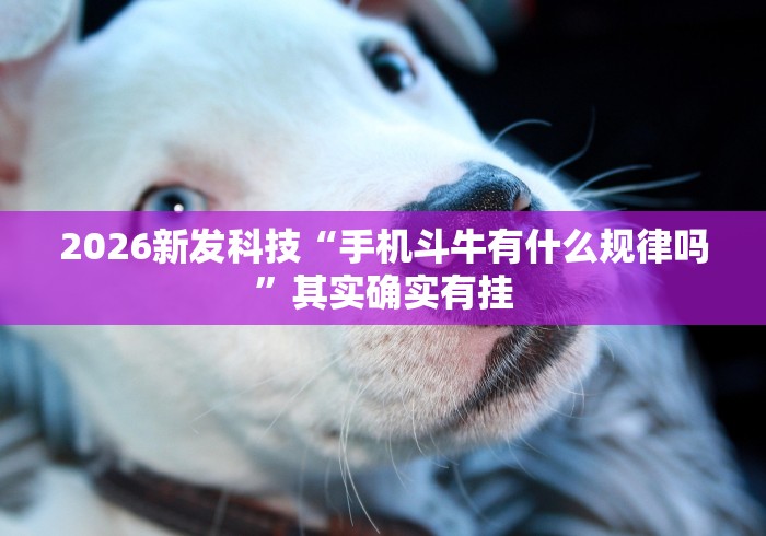 秒懂百科“微信牛牛炸 金花”房卡链接获取