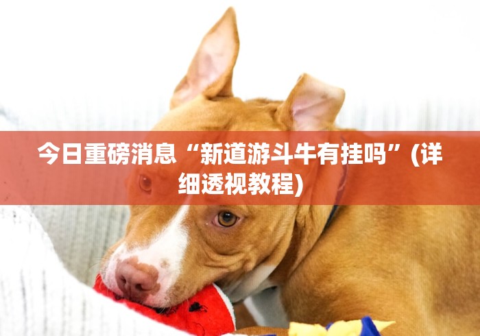 秒懂教程“微信斗牛房卡找谁买”详细房卡使用教程 秒懂教程“微信斗牛房卡找谁买”详细房卡使用教程
