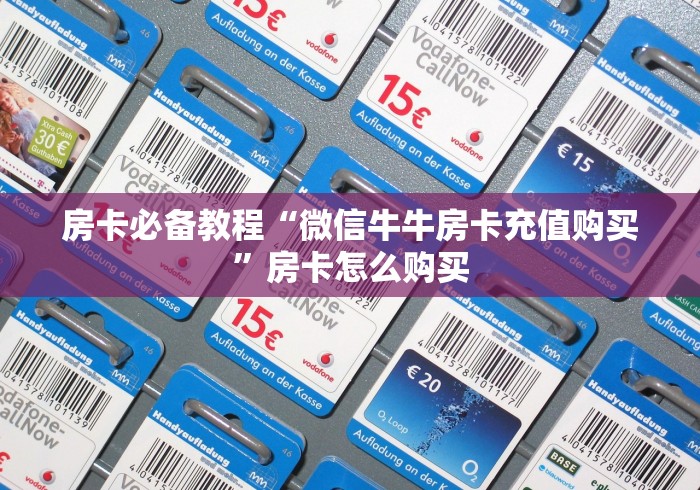 房卡必备教程“微信牛牛房卡充值购买”房卡怎么购买