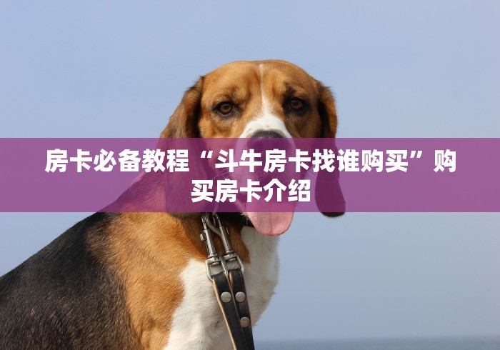 科普一下“微信怎么开斗牛房间链接”轻松获取房卡全渠道