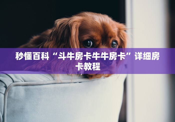 秒懂百科“斗牛房卡牛牛房卡”详细房卡教程