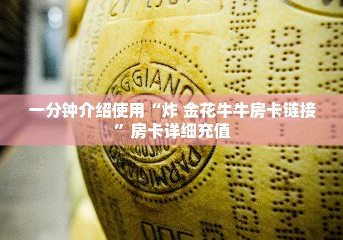 一分钟介绍使用“炸 金花牛牛房卡链接”房卡详细充值