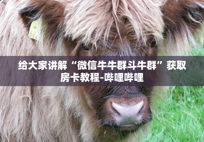 给大家讲解“微信牛牛群斗牛群”获取房卡教程-哔哩哔哩