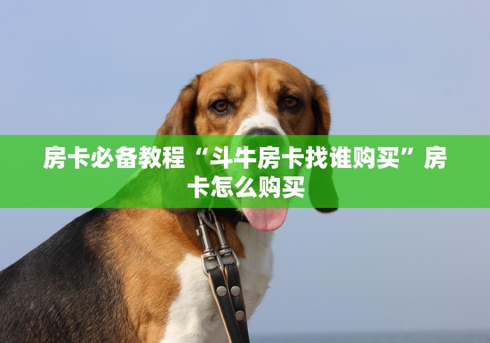 房卡必备教程“斗牛房卡找谁购买”房卡怎么购买