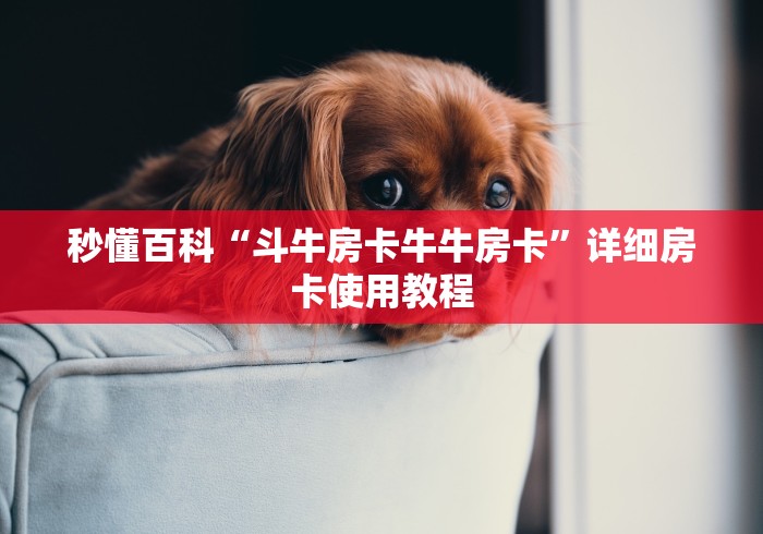 秒懂百科“斗牛房卡牛牛房卡”详细房卡使用教程