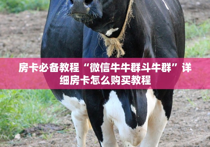 房卡必备教程“微信牛牛群斗牛群”详细房卡怎么购买教程