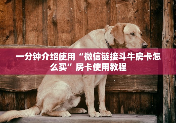 一分钟介绍使用“微信链接斗牛房卡怎么买”房卡使用教程